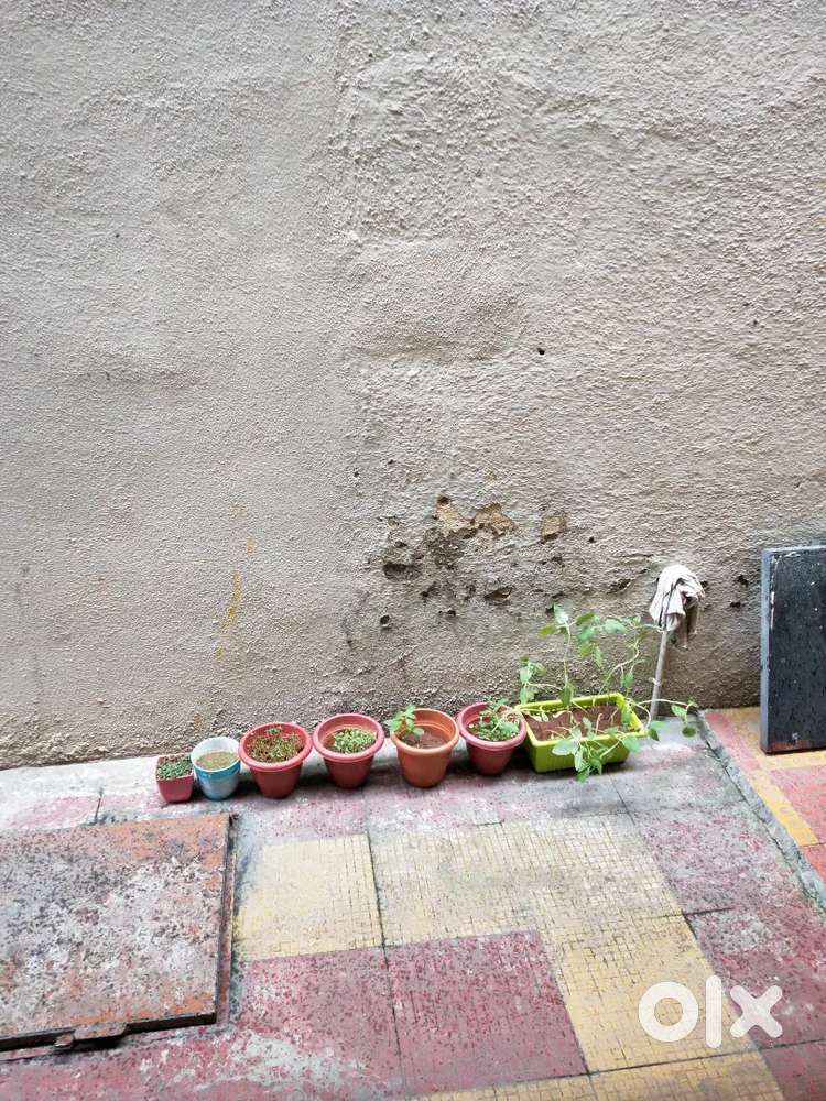 Two bhk house for rent