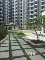 1BHK FLAT FOR RENT IN MARKET AREA
