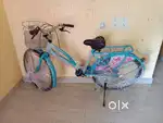 New Cycle (BRAND NEW LADIES CYCLE)