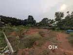 14 and 28 Cent Residential Plot For Sale