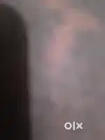 chapprauli road se gali ke andar dusra no..ka plot hh 15 futroad