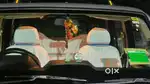 Mahindra Scorpio 2021 Diesel 94522 Km Driven
