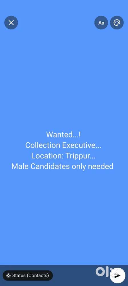 Collection Executive