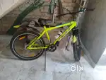 Best cycle