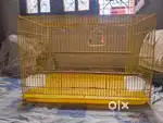 Birds cage