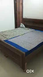 Owner free 1rk for rent in green city