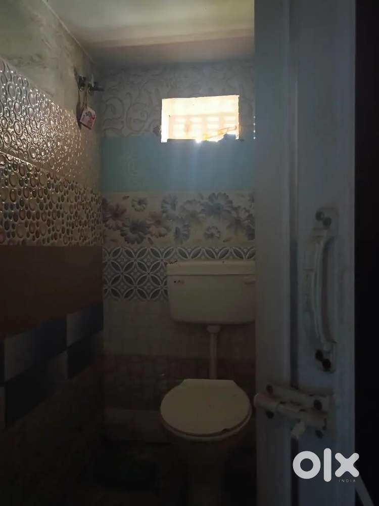 A cozy hygienic spacious house