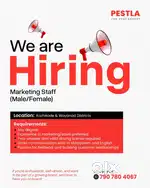 Marketing Staff For Pestcontrol company