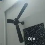 Ceiling fan