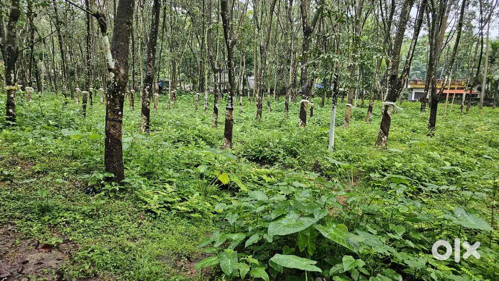 37.75 cent plot for sale