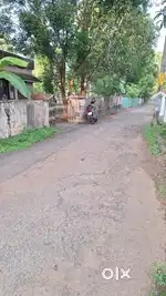 26 Cent Residential Land For Sale Nedumbassery