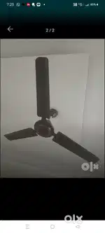 Ceiling fan
