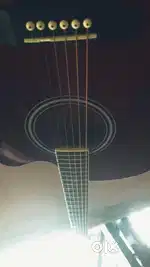 Acoustic guitar