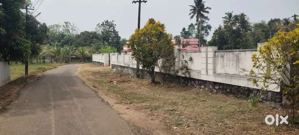 80 cent land per sent 10 lakh asking