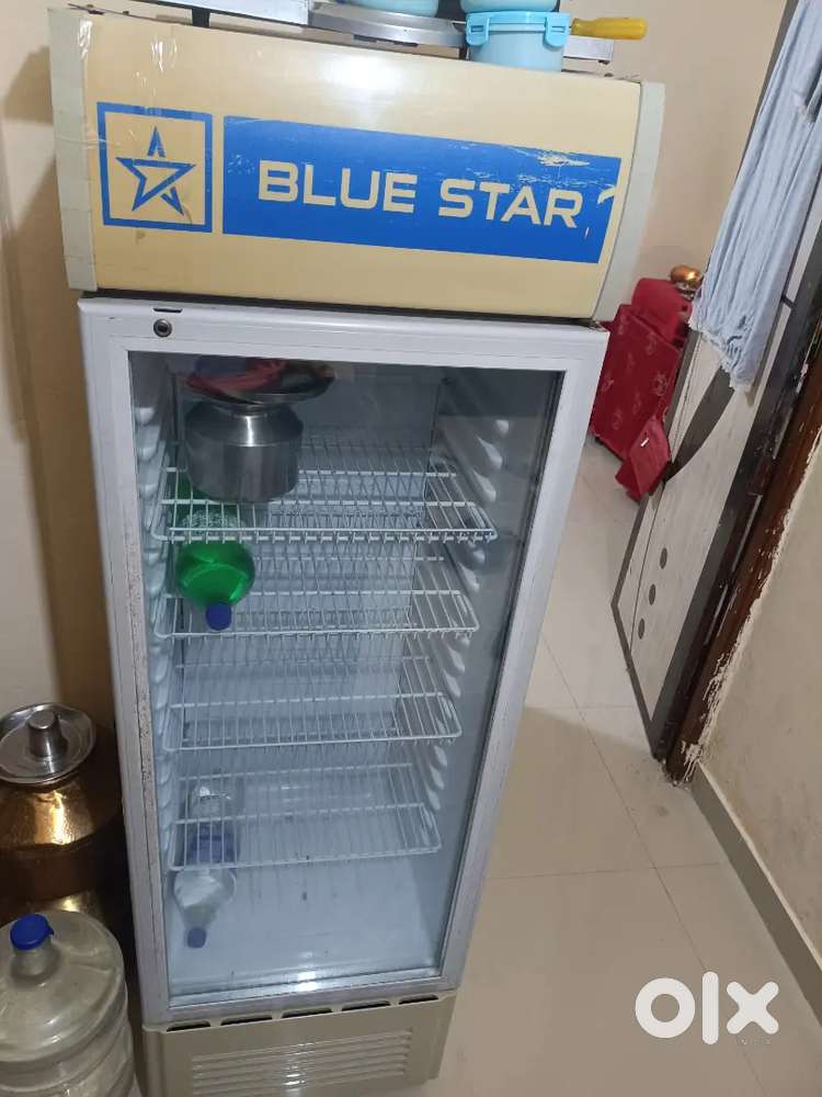 Blue star company shop fridge