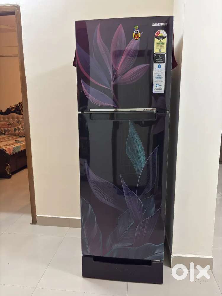 Samsung 236L Double door fridge (RT28C31429R/HL)