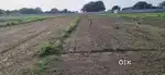 Best plot near Hyderabad for investment