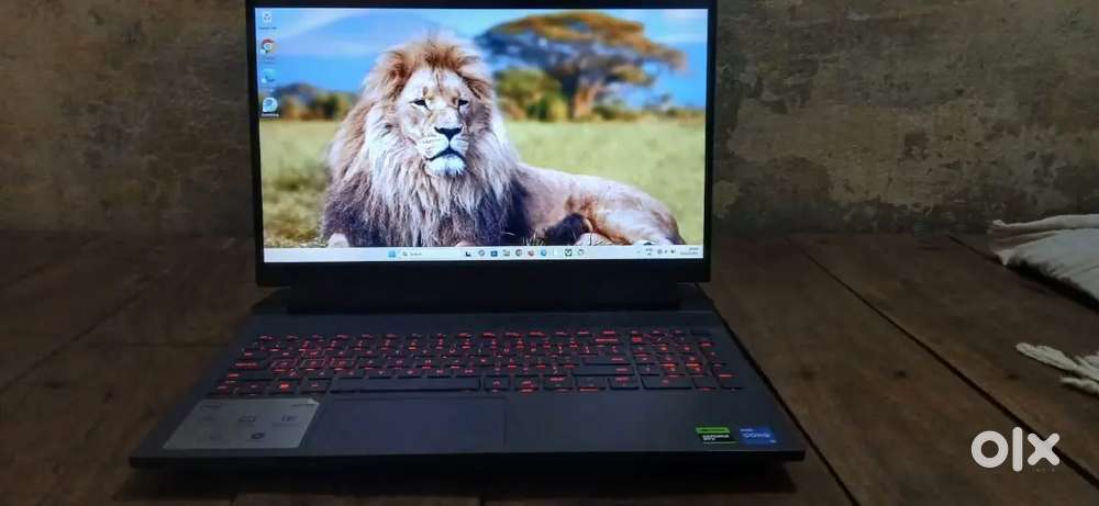 DELL G15 5530