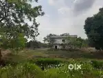 VIJAYAWADA near BANDAR ROAD & EAST BYPASS Akunuru venture 804 sq yards