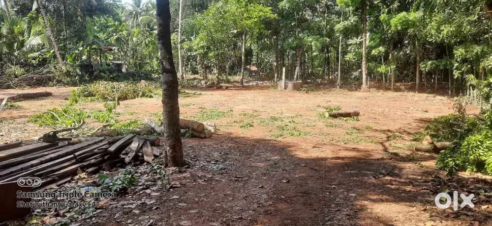 Housing/Flat/villa plot