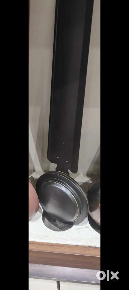 Ceiling fan