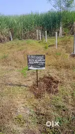 Residential land/Plot in kolwadi, manjari, pune