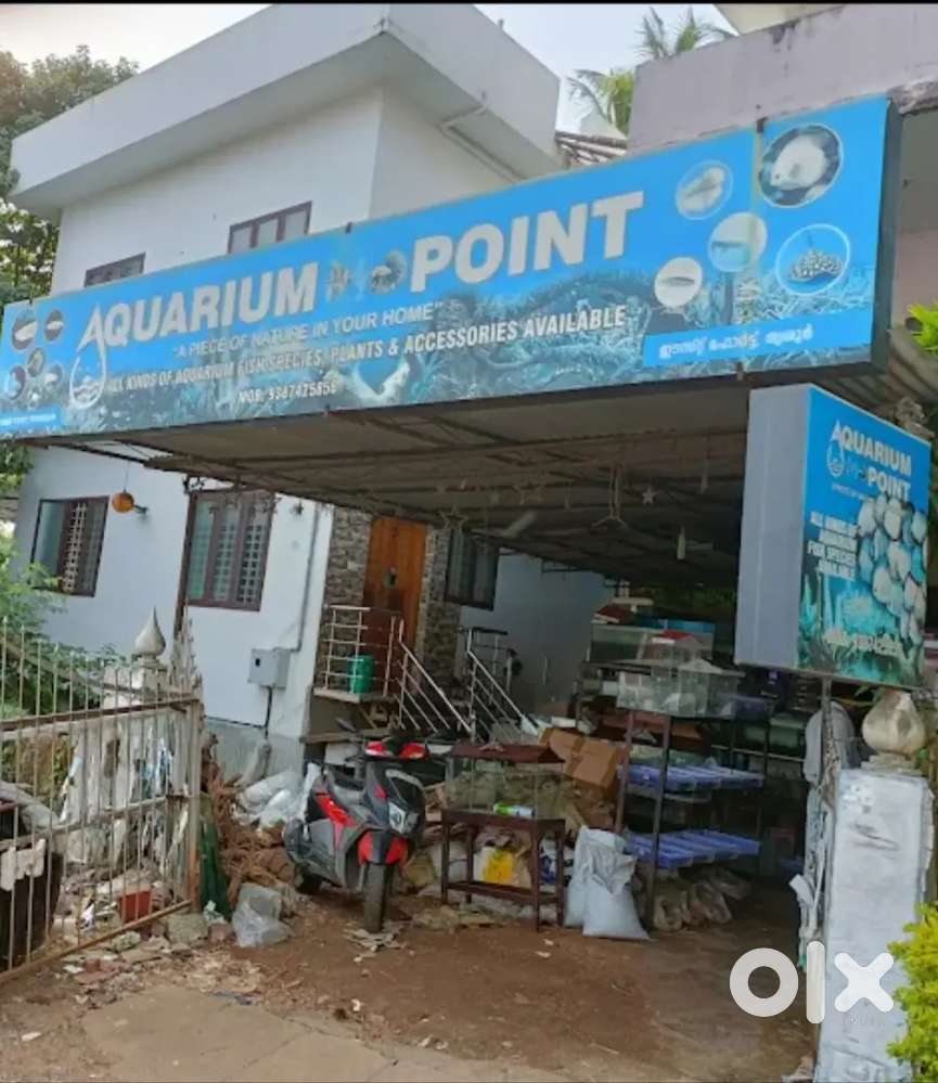 Work at aquarium shop