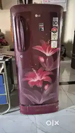 Fridge and geyser