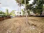 NALANCHIRA: 3.7 CENTS LAND FOR SALE
