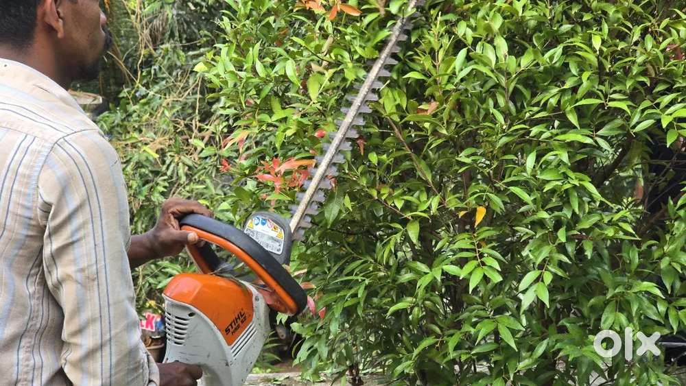Grass bush cutting with machines 280 per hour