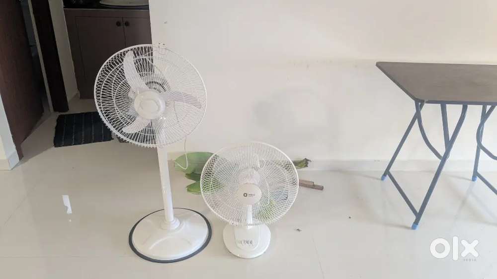 Orident fans