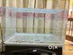 3ft cage best for parrots,cats,rabbits and small breed dogs