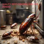 COCKROACHES, TERMITE TREATMENT DONE, COCKROACHES GEL ALSO FOR SALE