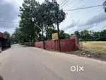 Aluva uc college house plot for sale