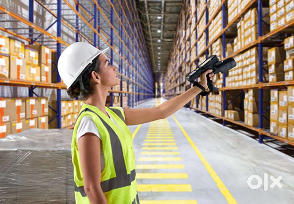 Golden opportunity freshers,our respected company hiring for warehouse