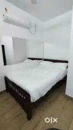 Executive Bachilors or couples furnishd Aparment No kitchen