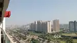 FREEHOLD property