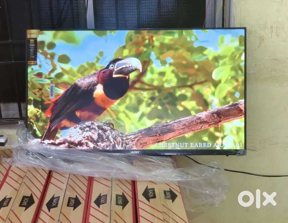 55 inch sony smart Android frameless oled 4k 3yr display waranty 30000
