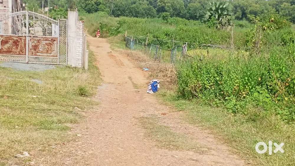 9 katta plot available for sale in ghatsila opposite SDO office