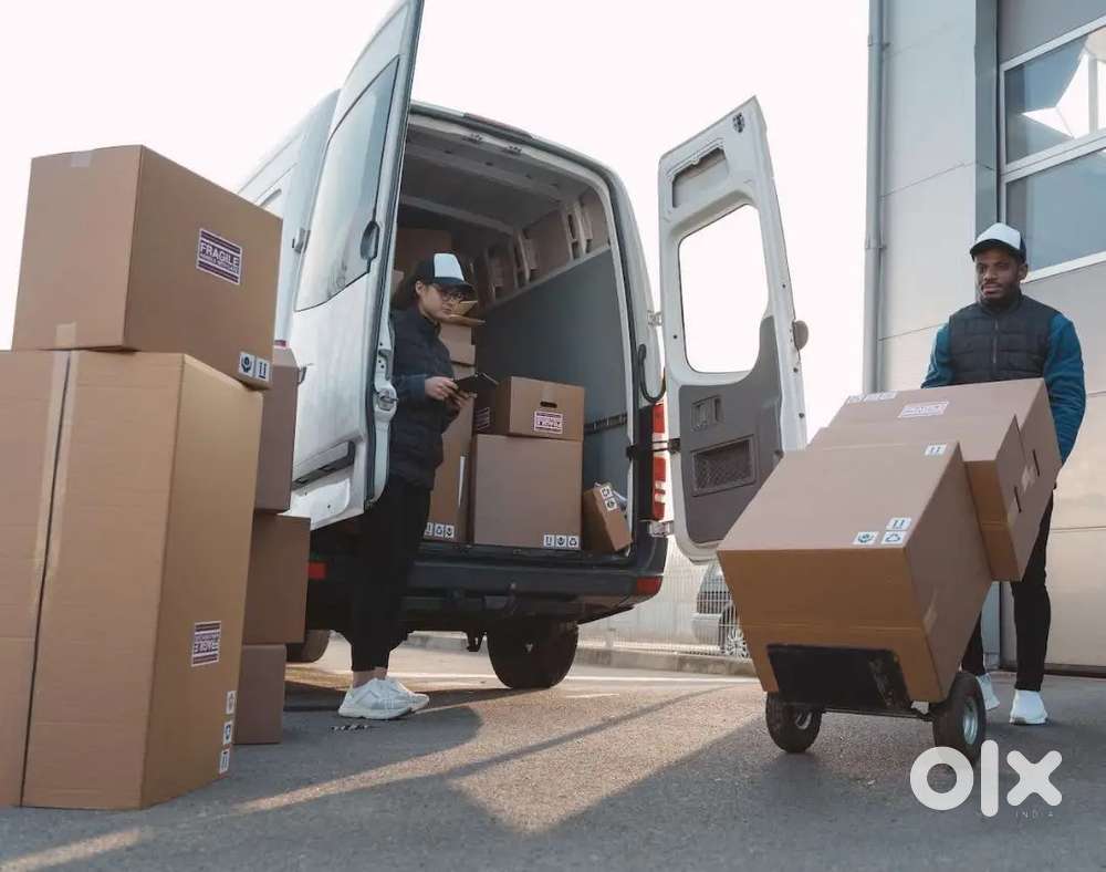 Midols warehouse parcel delivery boy