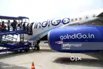 'Airport Ground Staff Jobs in Indigo Airlines both candidate apply