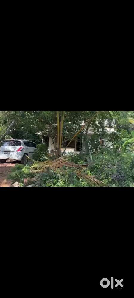 16.5 cent plot with house