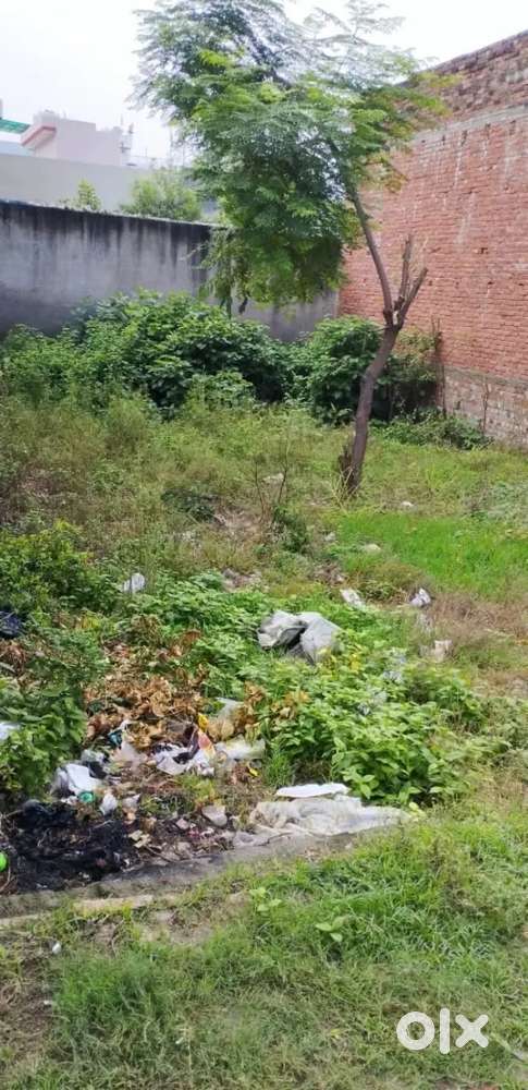 Urgently sell this land