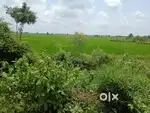2acer land for sale, khurda