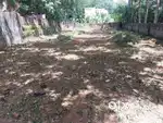 10 CENT PLOT FOR SALE NEAR THUMBACODE KULASEKHRAM BUSTAND