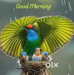 മധ്യവസുള്ള സ്ത്രീയെ വീട്ടിലെ ജോലികൾക്കായി .