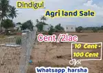 Low budget farm land( between  residence)