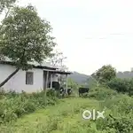 Profitable farm land for sale at Umshaproh Nonglamet, Bhoirymbong