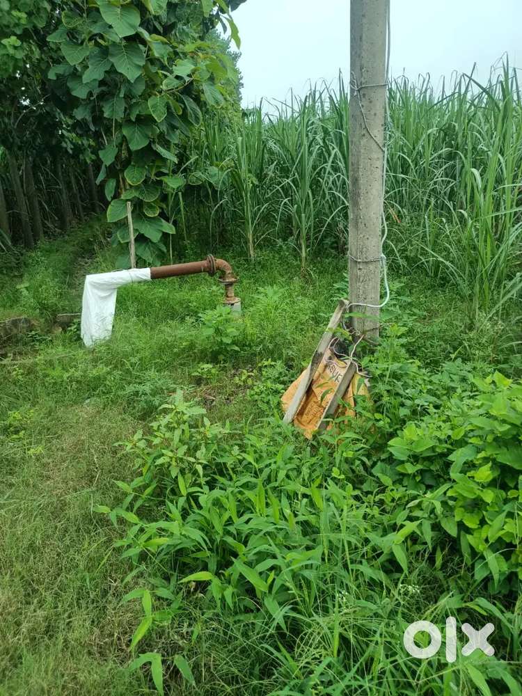 220 बीघा जमीन है 3.5 लाख/बीघा