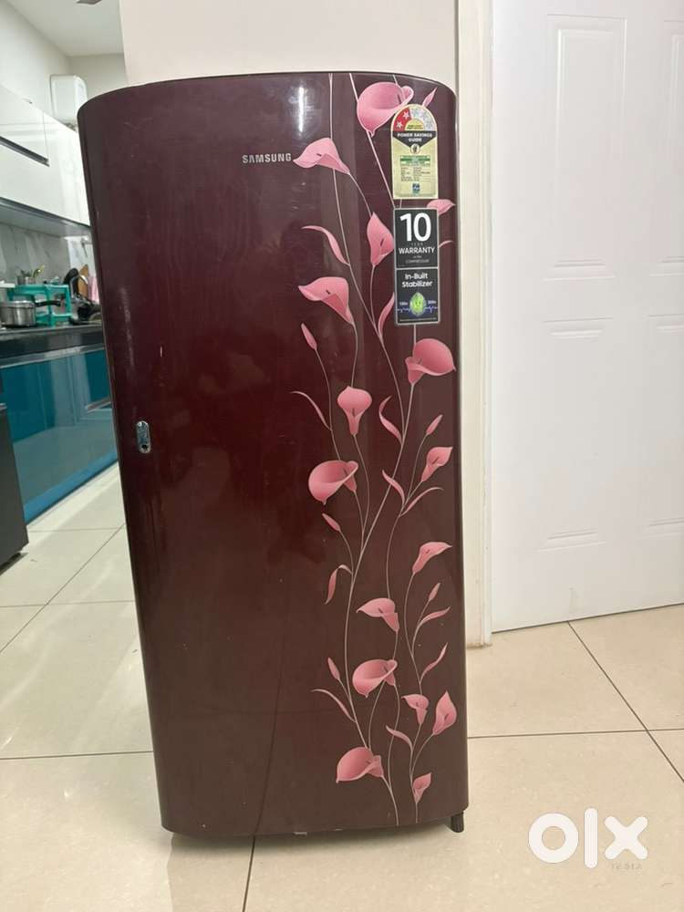 Samsung 2019 Single-Door Fridge for Sale – 183L Capacity!